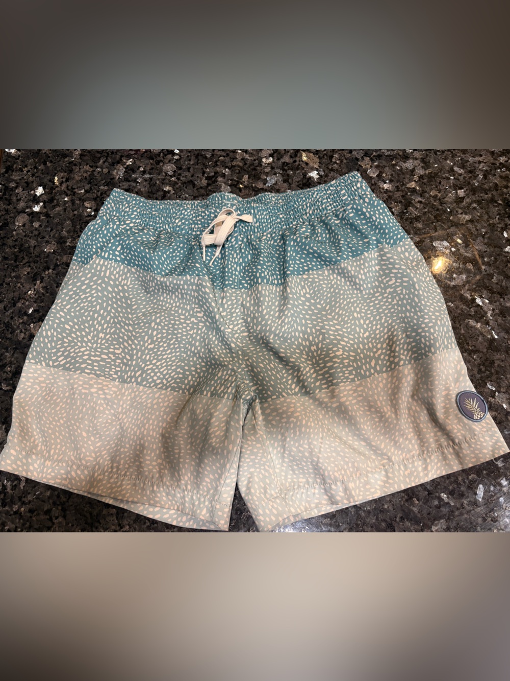 chubbies Teal & Light Teal men’s swim trunks